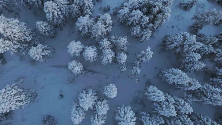 Görenleri hayran bıraktı! Kartpostallık fotoğraflar... Kar manzarasında görsel şölen G2