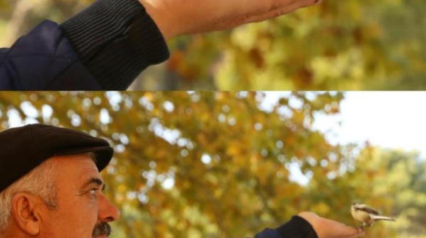 Orman bek&ccedil;isi ile minik ser&ccedil;enin dostluğu