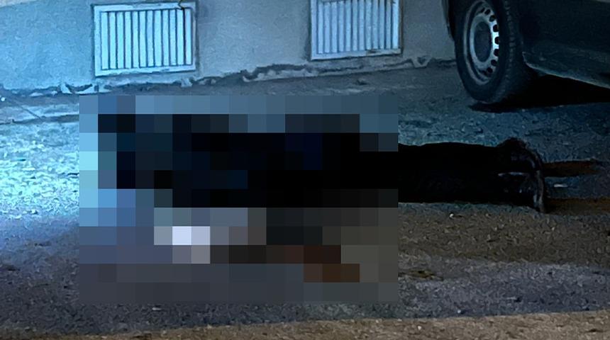 Sokak ortasında katledilmişti! Cinayet planı ortaya çıktı: 'Çocuklarını görmeye gel'