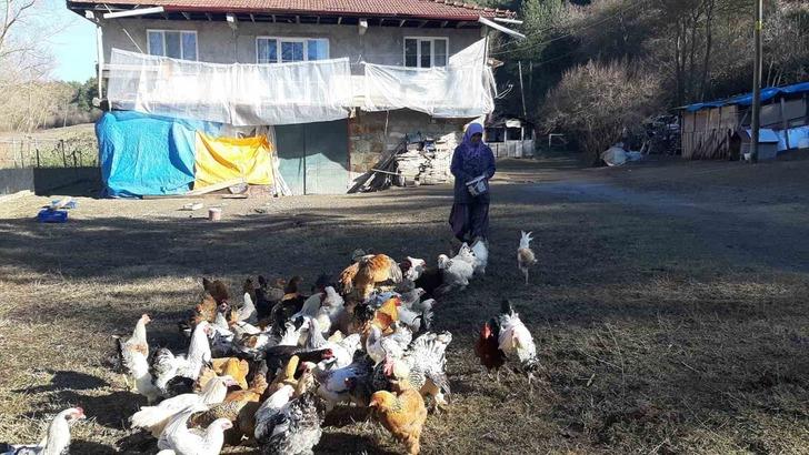 Hobi olarak başladı... Özel sektördeki işinden bile ayrıldı! Tüm gelirlerini ondan sağlıyorlar G1