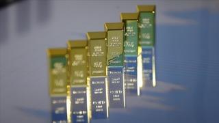 Altın yatırımcısının yüzünü güldürdü! Tüm zamanların en yüksek yıllık kapanışı, uzmanlar 2024 beklentilerini açıkladı... 