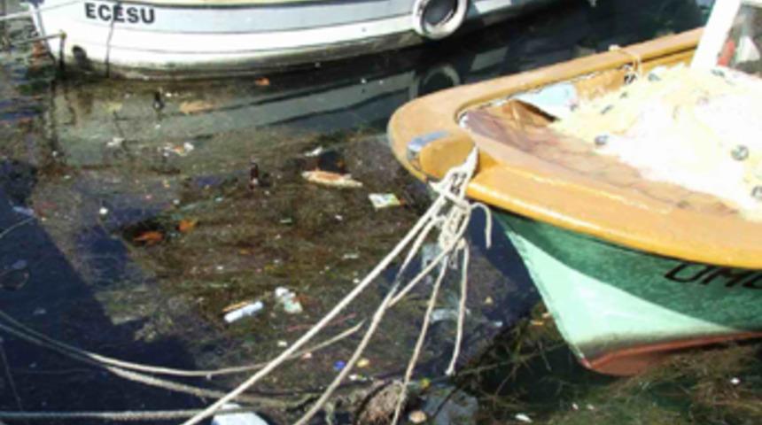 Temiz &ccedil;evre i&ccedil;in 100 milyar Euro gerekli