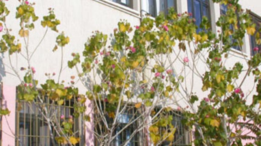 Pastırma yazı sona eriyor