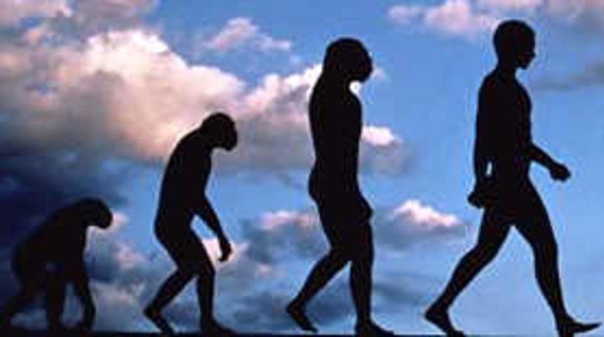 Evrim teorisi molek&uuml;ler d&uuml;zeyde ispatlandı