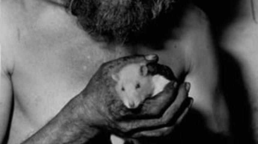 Tek odalı evde bin tane fareyle yaşıyor