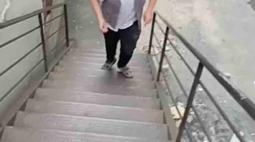 Kağıthane’de tepki çeken görüntüler: Biri kediye taş attı diğeri o anları kameraya aldı