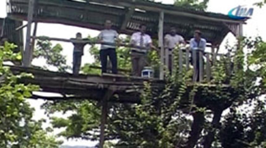 Ağa&ccedil;la birlikte y&uuml;kselen ev