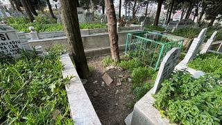 Üç kardeş babalarını ihbar etti, 20 yıl önceki vahşet ortaya çıktı! 15 aylık bebeğini döverek öldürmüş