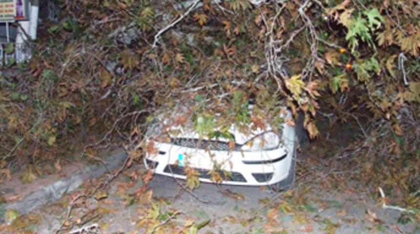 Alanya'yı fırtına vurdu