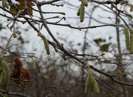Uzmanlar 'sıcak hava' tehlikesine dikkat çekti:  "Ciddi rekolte kayıpları yaşanabilir"