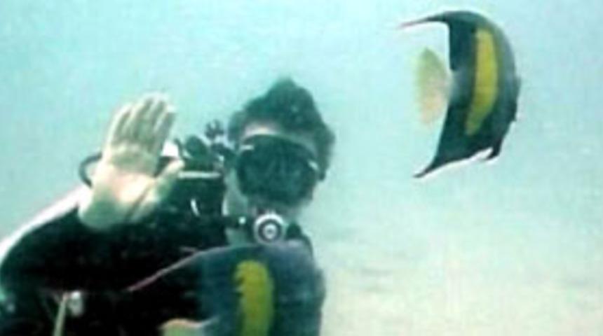 T&uuml;zmen, Fransız bakanla batığa daldı