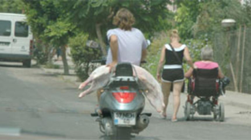 Motosikletle koyun servisi