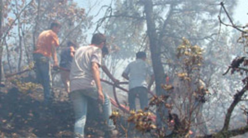&Ccedil;ay demlemek isterken ormanı yaktılar