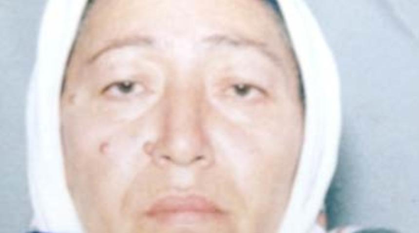 Alkoll&uuml; s&uuml;r&uuml;c&uuml; annesini ezdi