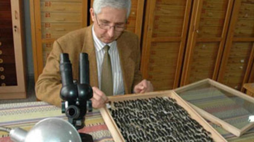 Bu kadar b&ouml;ceği hi&ccedil; birarada g&ouml;rd&uuml;n&uuml;z m&uuml;?