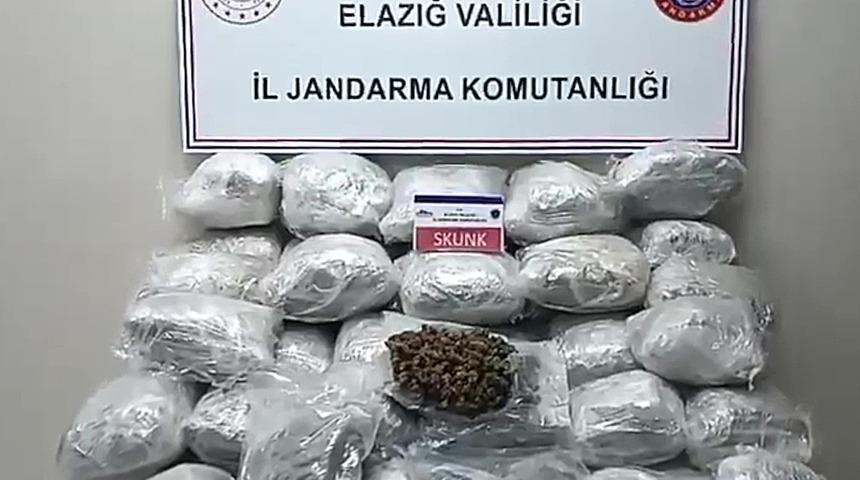 Elazığ'da tırın dorsesine gizlenmiş 138 kilogram skunk bulundu