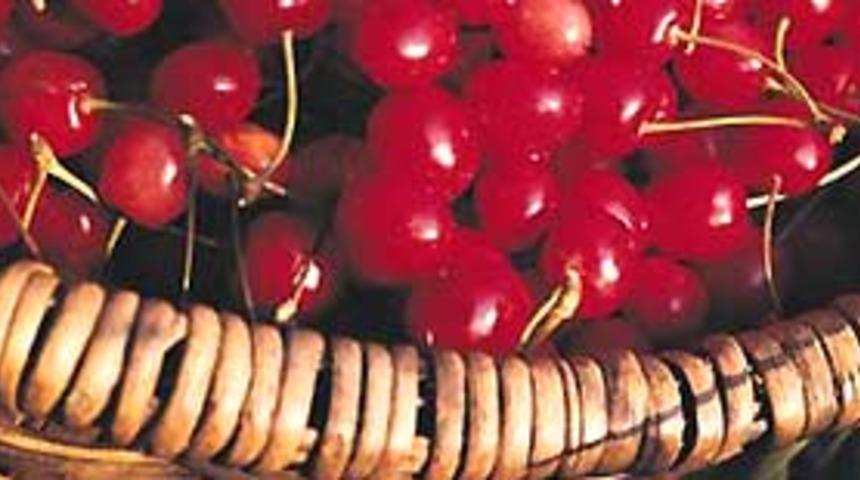 Kiraz her derde deva