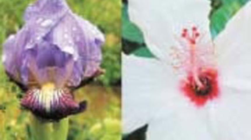 "Ger&ccedil;eğe Daha Yakın" Fotoğraf Sergisi