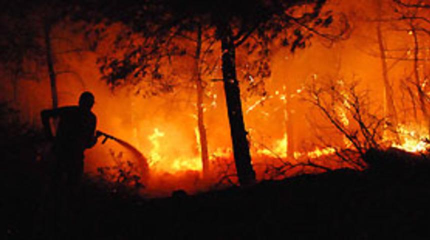 Soma'da orman yangını