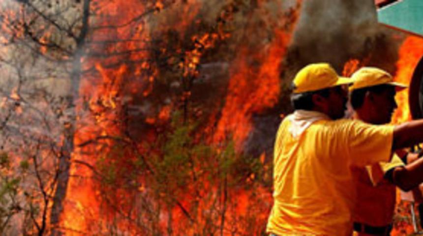 Evlatların acı feryatları