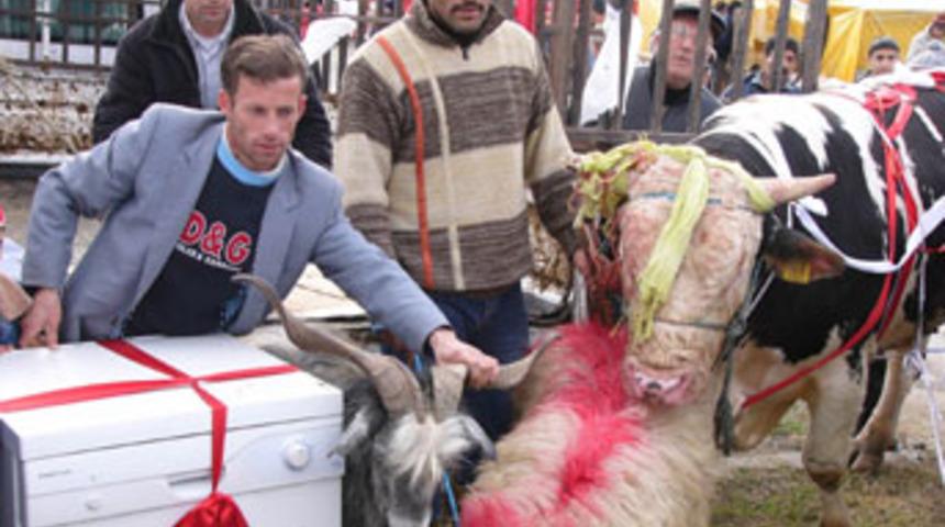 B&ouml;yle kurbanlık promosyonu g&ouml;r&uuml;lmedi