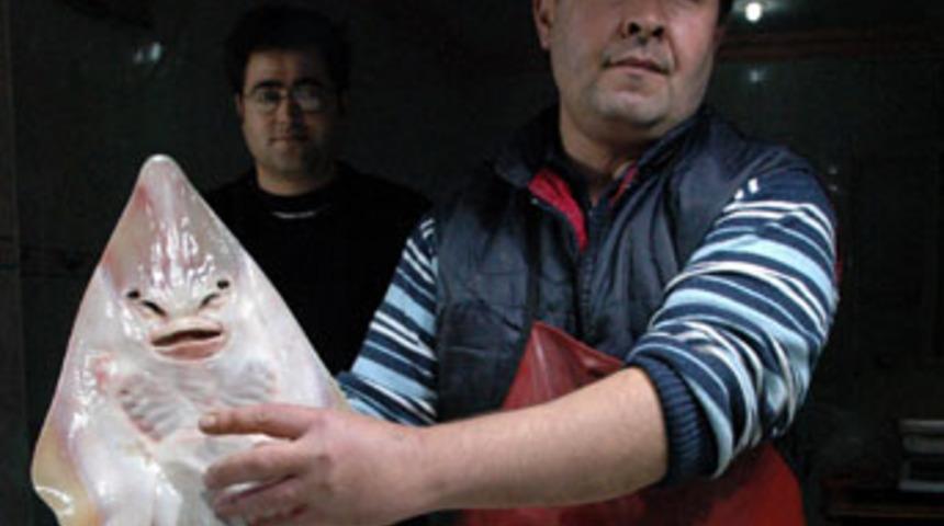 Tavşanlı'da insan suratlı balık