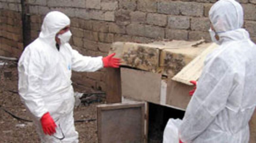 &Ccedil;ek Cumhuriyeti'nde 12 kuş gribi vakası