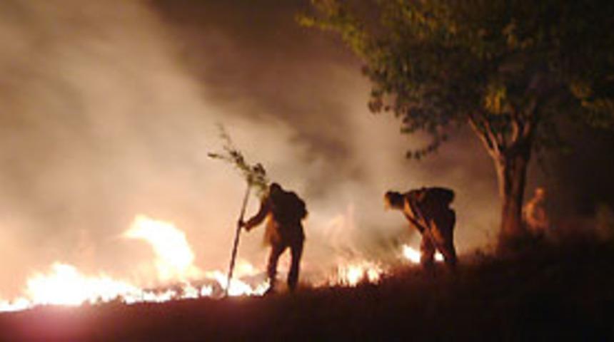 Y&uuml;zlerce hektar orman alanı yandı