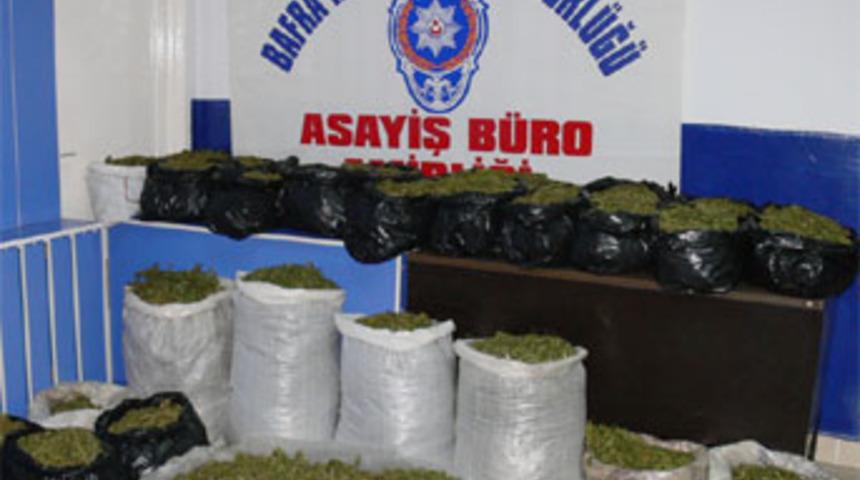 Samsun'da 100 kilo esrar