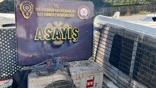 Hatay'da evden hırsızlık yaptıkları iddiasıyla 2 şüpheli tutuklandı