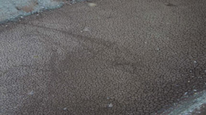 Tavas g&ouml;leti kurudu