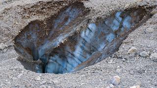 Konya'da bulundu! Bir ilk oldu '5 yıl içinde ortadan kalkacak' Çıktığı gezintide fark etti... Hemen harekete geçtiler