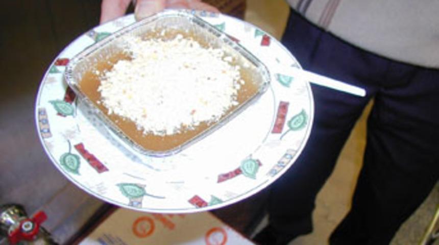 Soğuğa karşı dut herlesi