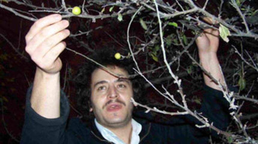 Bandırma'da erik ağacı meyve verdi