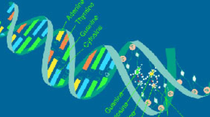 "Kozmik ışın bombardımanı" uyarısı