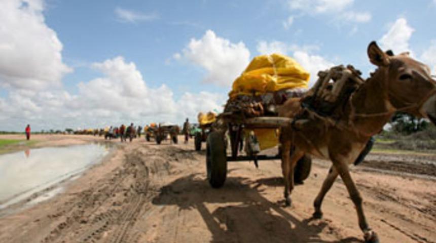Kenya felaketi yaşadı