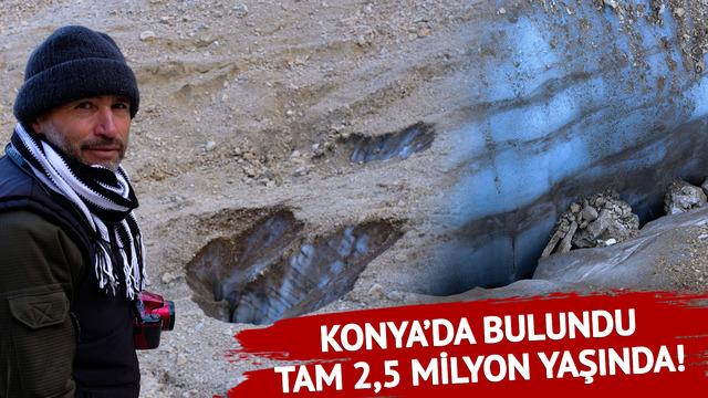 Konya'da şans eseri bulunmuştu: Varlığı doğrulandı! Tam 2,5 milyon yıl öncesine ait