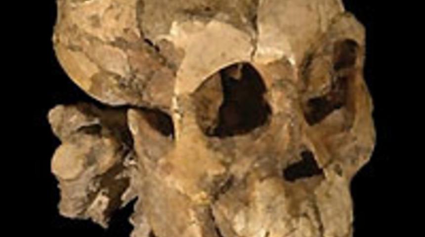 En eski insanımsı Lucy'nin ''kızı'' bulundu