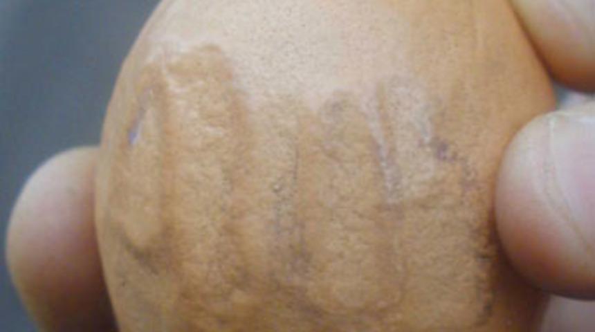 Yumurtada "Allah" yazısı