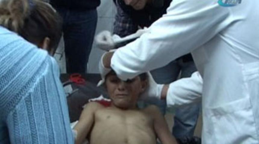 Muş'ta başıboş k&ouml;pek dehşeti