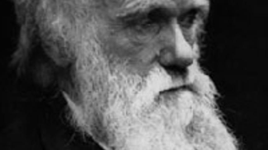 Darwin'in &ccedil;alışmaları internette