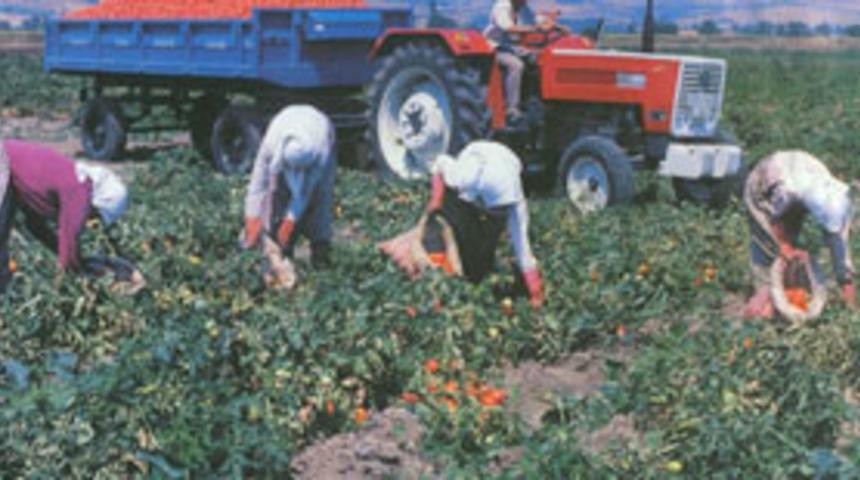 20 bin &ouml;ğrenci karnelerini alamadı