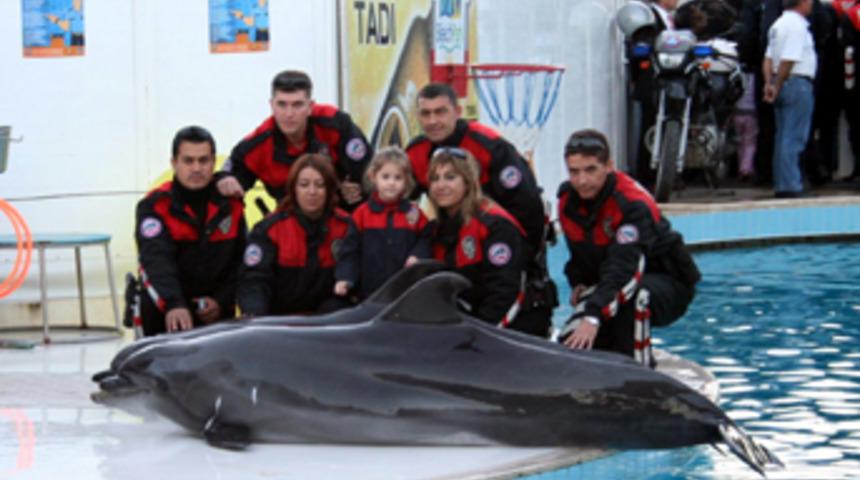 Yunusların buluşması