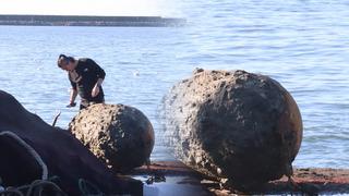Zonguldak'ta balıkçıların ağına takıldı, geniş güvenlik önlemi alındı! İstanbul'dan özel ekip bölgeye gidiyor