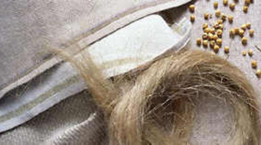 Keten tohumu ile hastalıklardan korunun