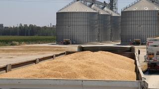 Lisanslı depolarda saklanacak ürünlere verilecek destekler belirlendi