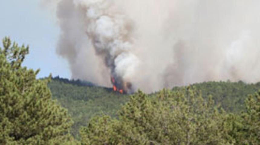 Bolu'da orman yangını yeniden &ccedil;ıktı