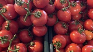 Türkiye'nin domates ihracatı 2023'te yüzde 42 arttı