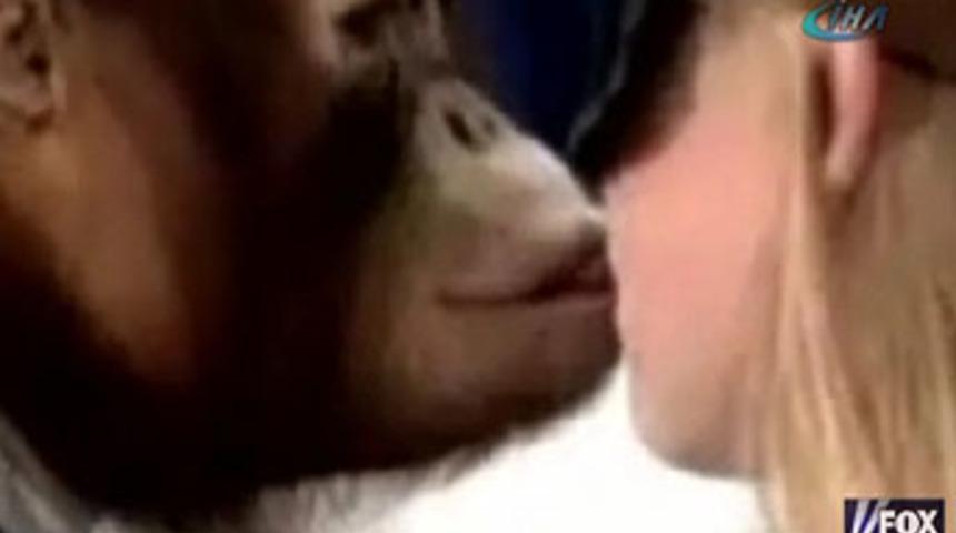 Maymunlardan gen&ccedil; kızlara aşk &ouml;p&uuml;c&uuml;ğ&uuml;!