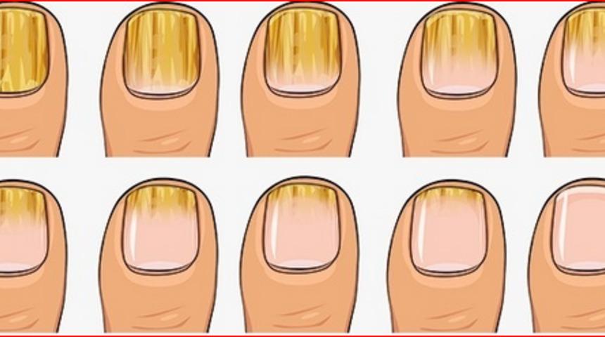 Birçok şeyi yanlış biliyormuşuz! İşte sizi şaşırtacak gerçekler...